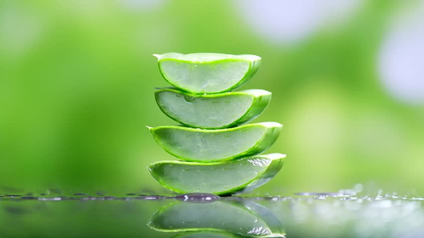 6  Uses Of Aloe Vera For Skin | Skinluv.in